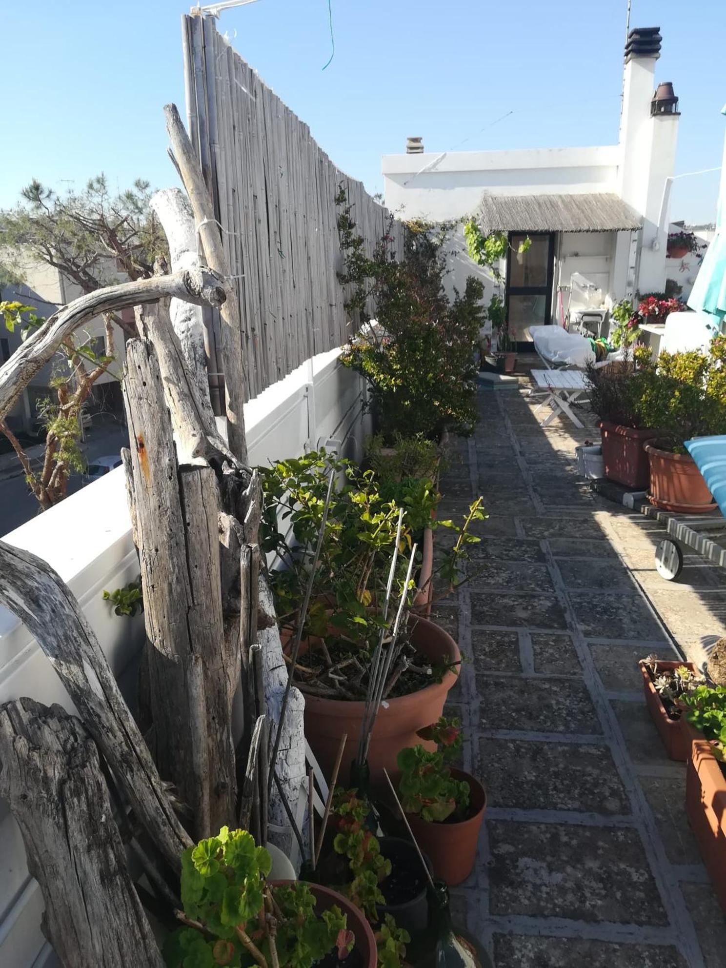 Mandorleolio Panzió Polignano a Mare Kültér fotó